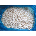 IQF wholesale garlic clove peeled